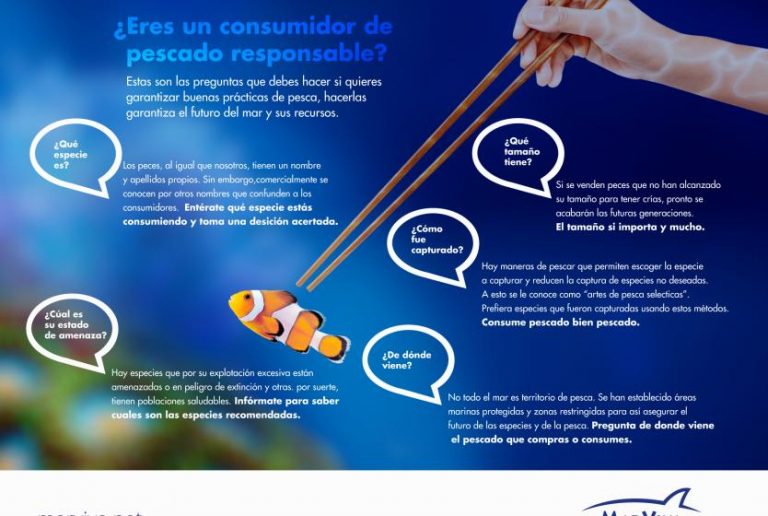 Buena Pesca: Promoting Responsible Seafood Consumption