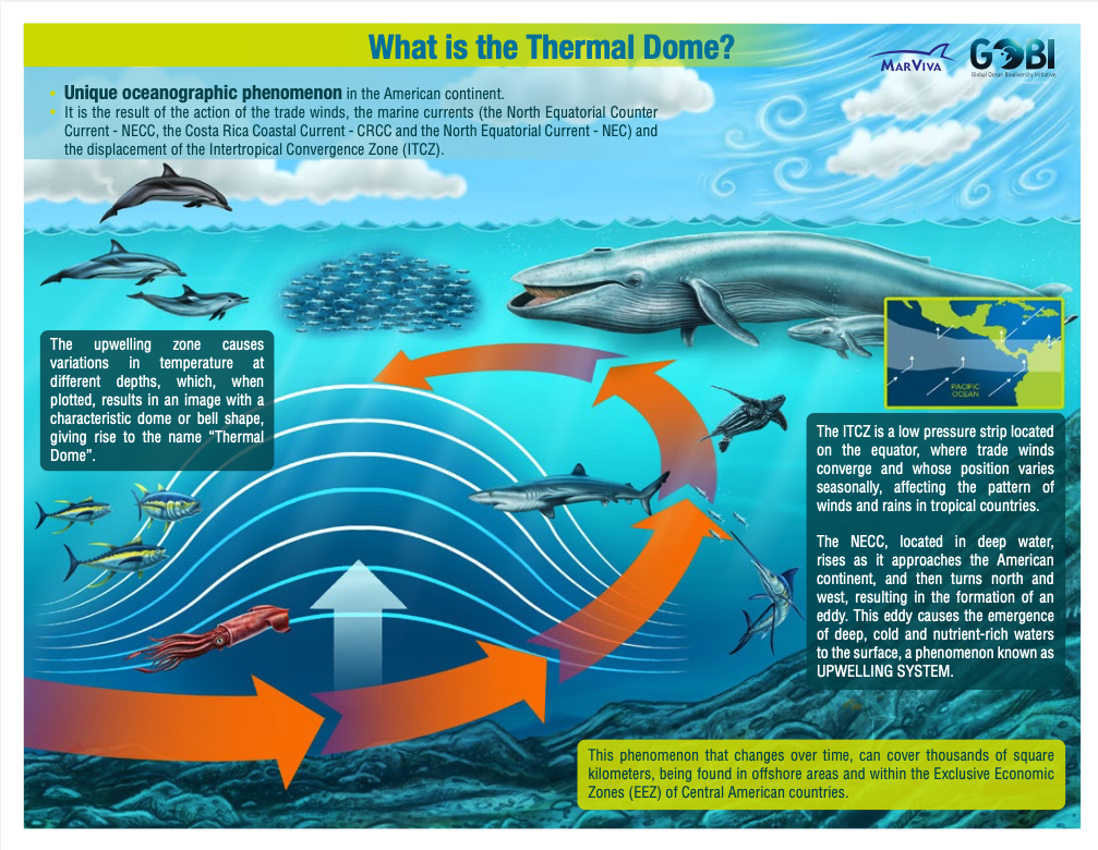 Infographic: What is the Thermal Dome?