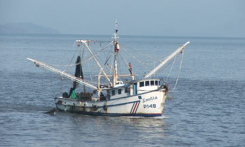 Once again, Court order freezes Costa Rica trawling studies