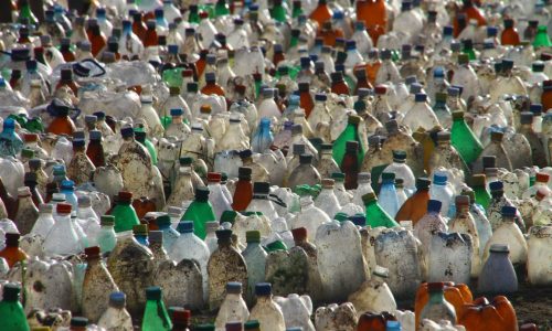 Many thousands of old pet bottles of different colors stand in rows. Serious threat of environmental pollution. Problem of excess consumption. Utilization of Plastic solid Waste.