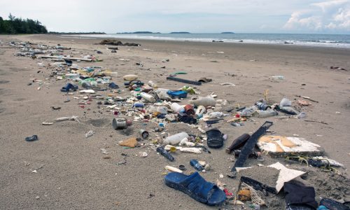 Plastics treaty: organizations call for commitment to reduce plastic production.